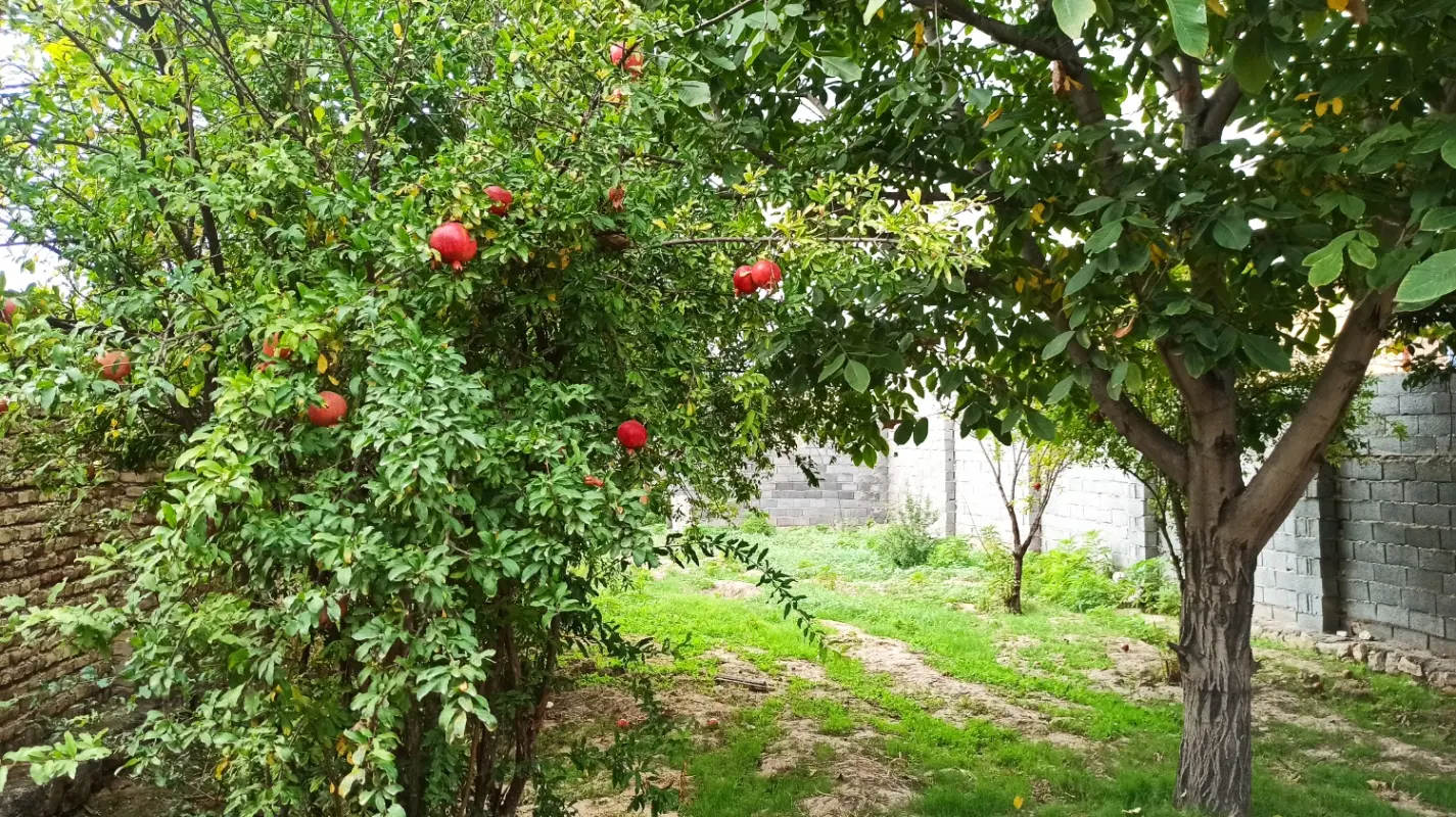 275 مترر زمین مسکونی(باغی)