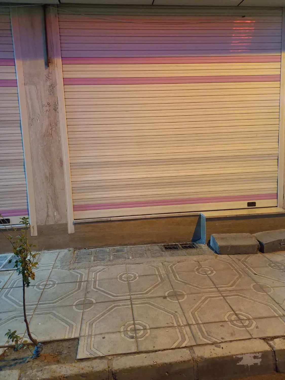 مغازه