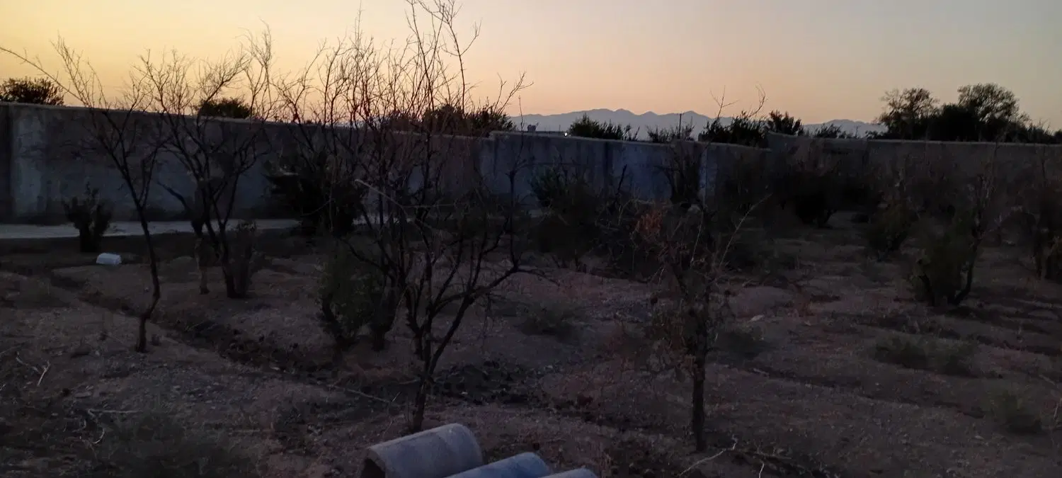 فروش باغچه