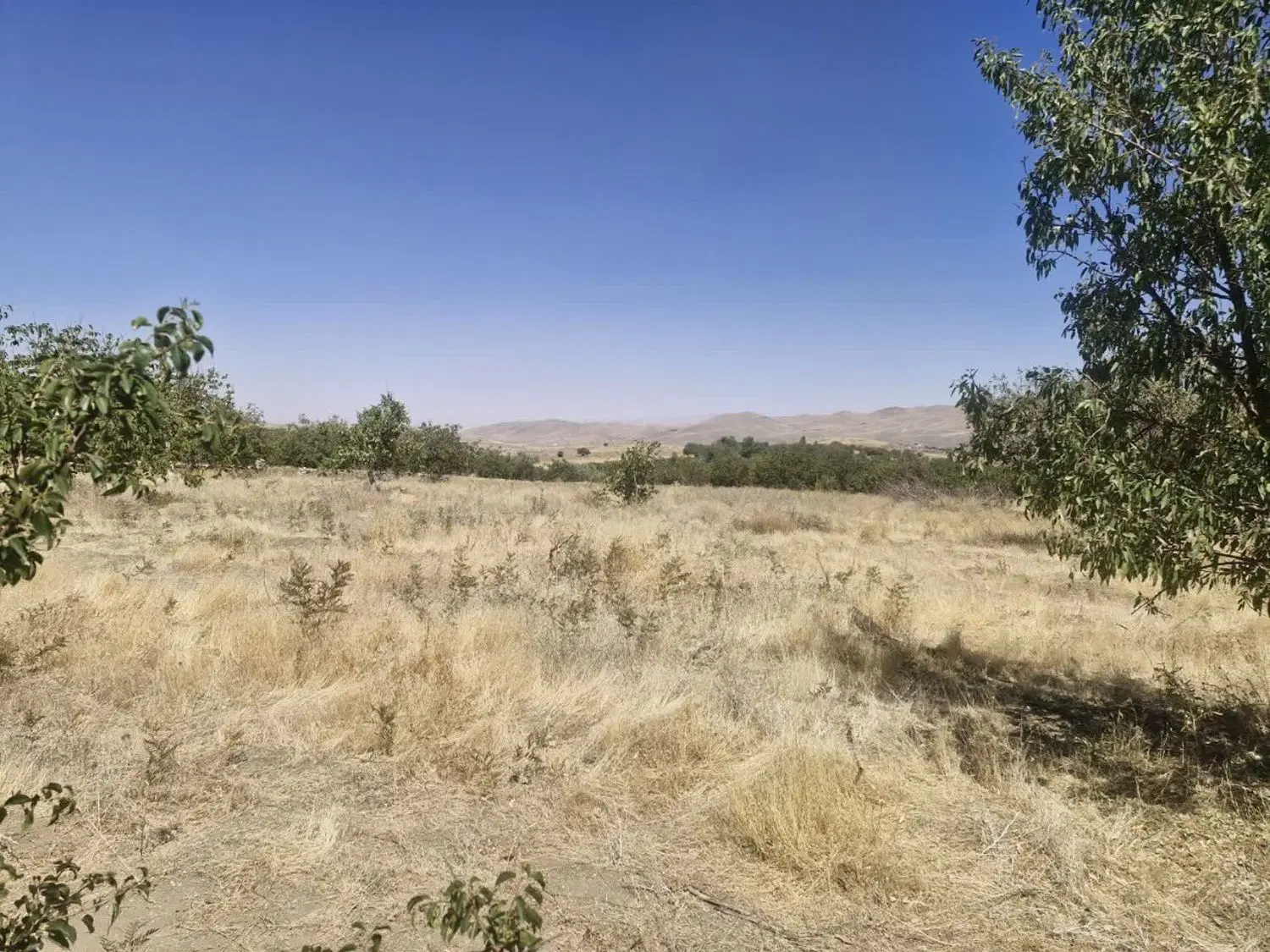 زمین برا کشاورزی