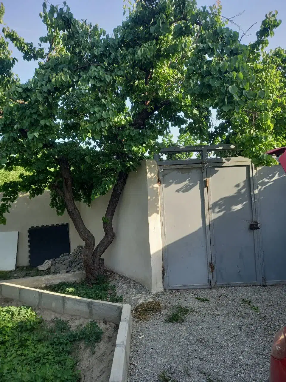باغچه ۵۰۰ متری پربار شهریار روستای یبارک