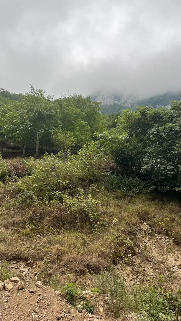 زمین ۱۲۰متری کهنه اب