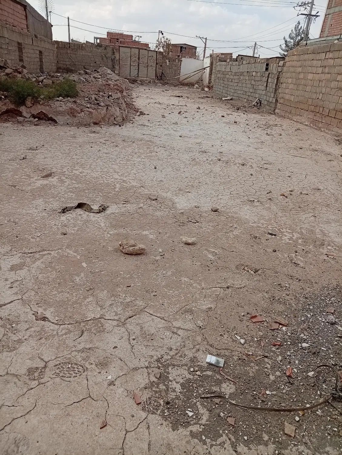 زمین تجاری