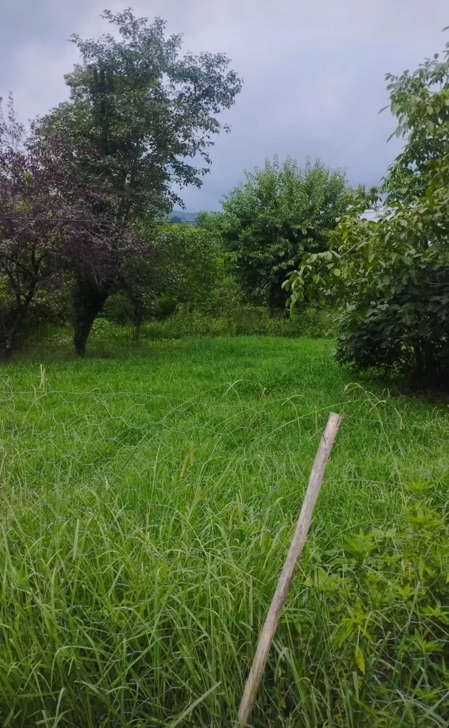 فروش زمین