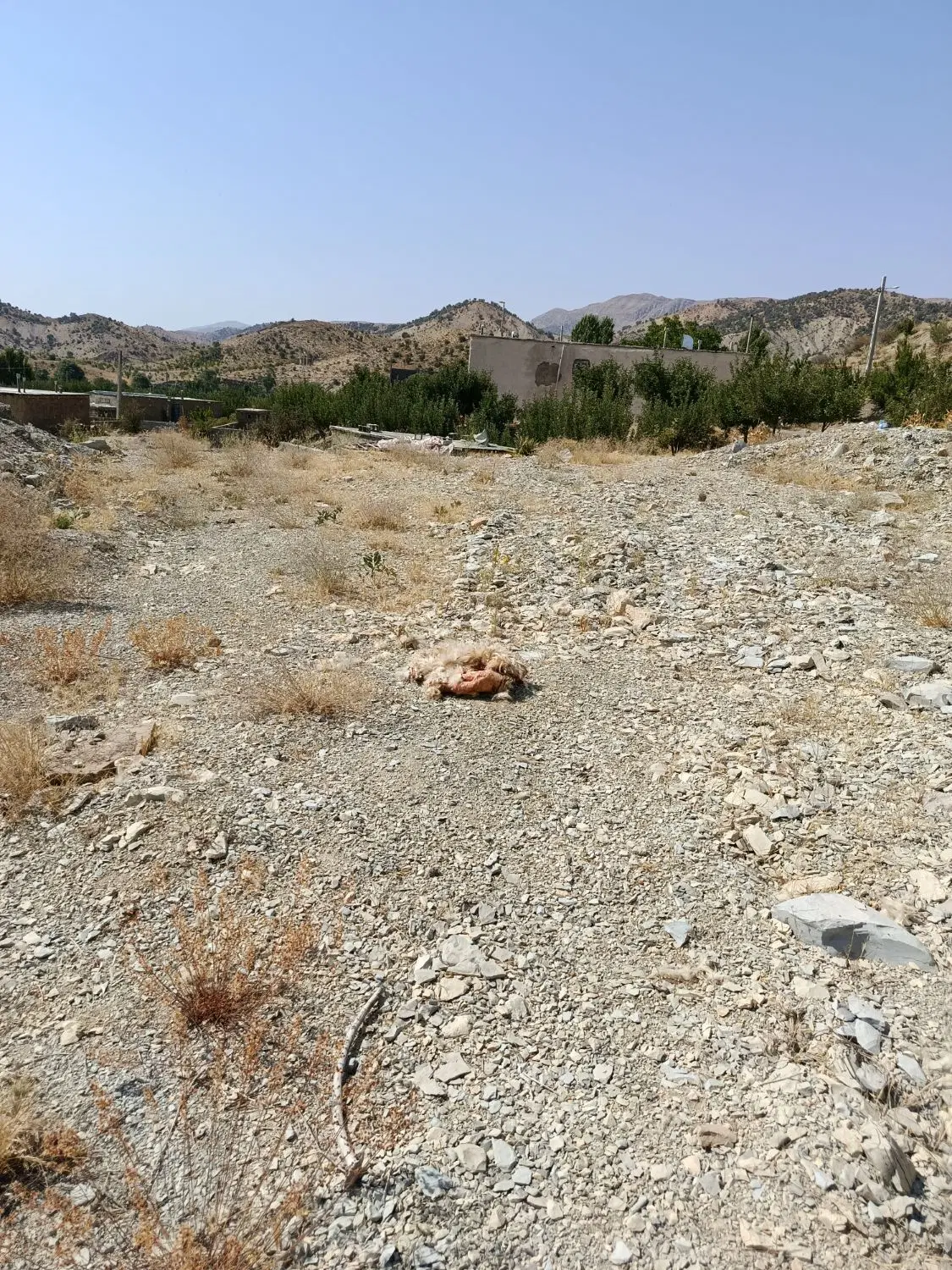 زمین مسکونی روستای چشمه پهن گنچگان