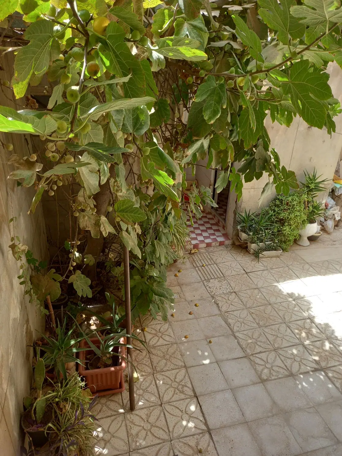 منزل ویلایی دو طبقه