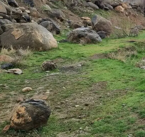 زمین صنعتی کارگاهی مریانج