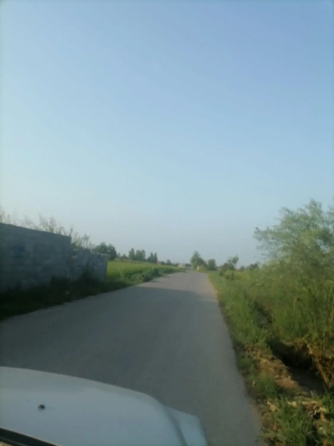 زمین عرصه و اعیان مزروعی