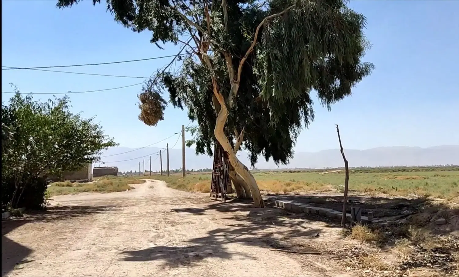 زمین قلعه نو