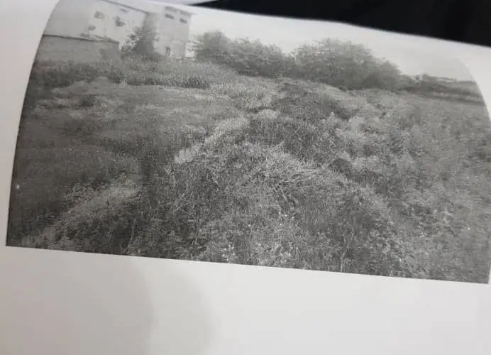 فروش زمین