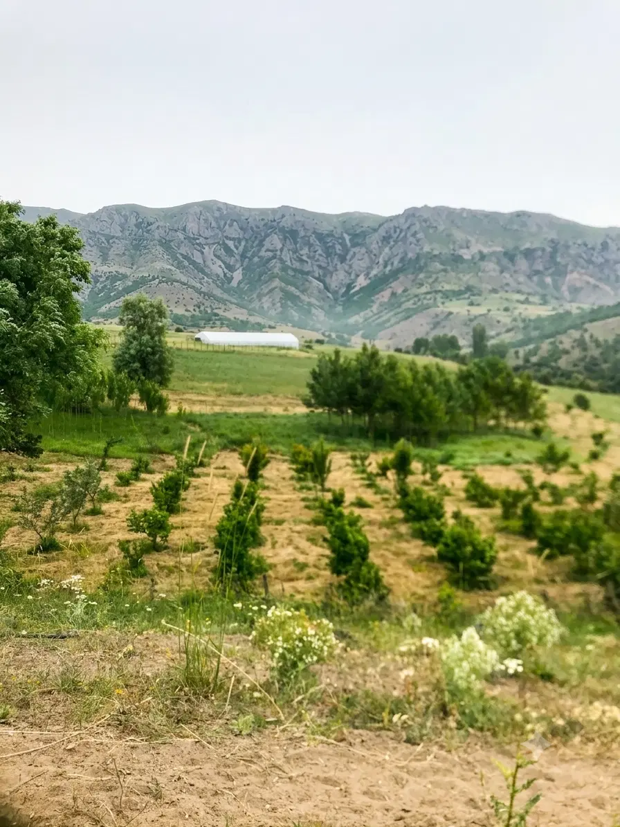 باغ گلخانه ۲.۵ هکتاری با آب دائمی و ویوی بی‌نظیر