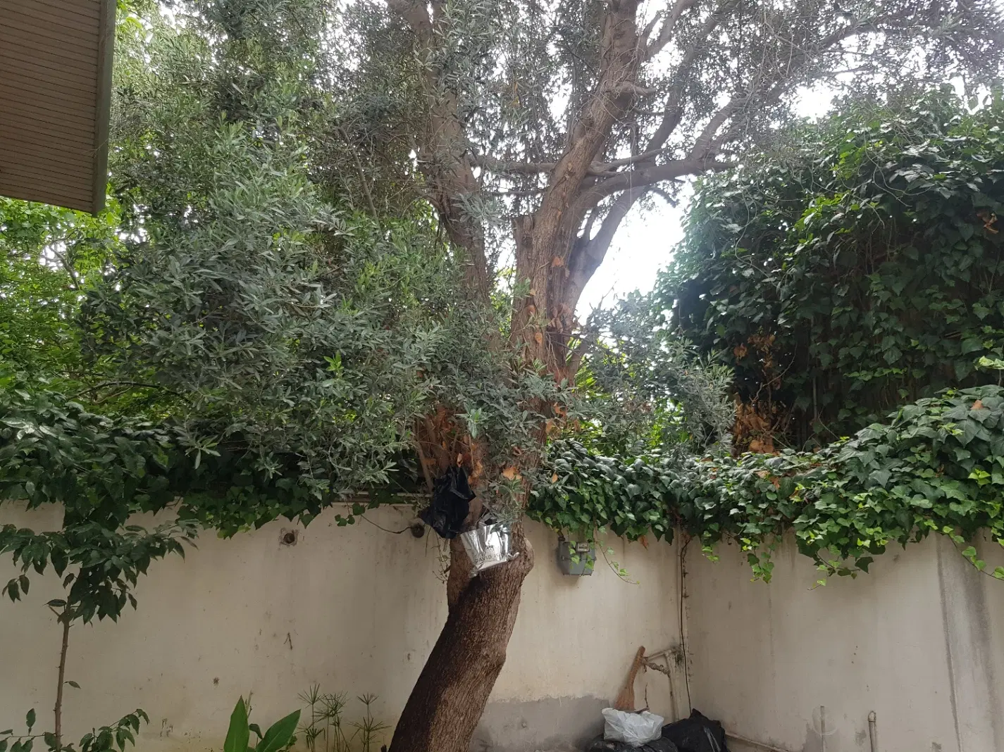 خانه ویلایی حیاط دار