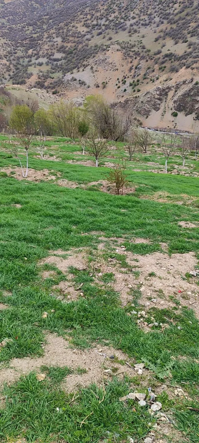 زمین کشاورزی آبی مخصوص باغ