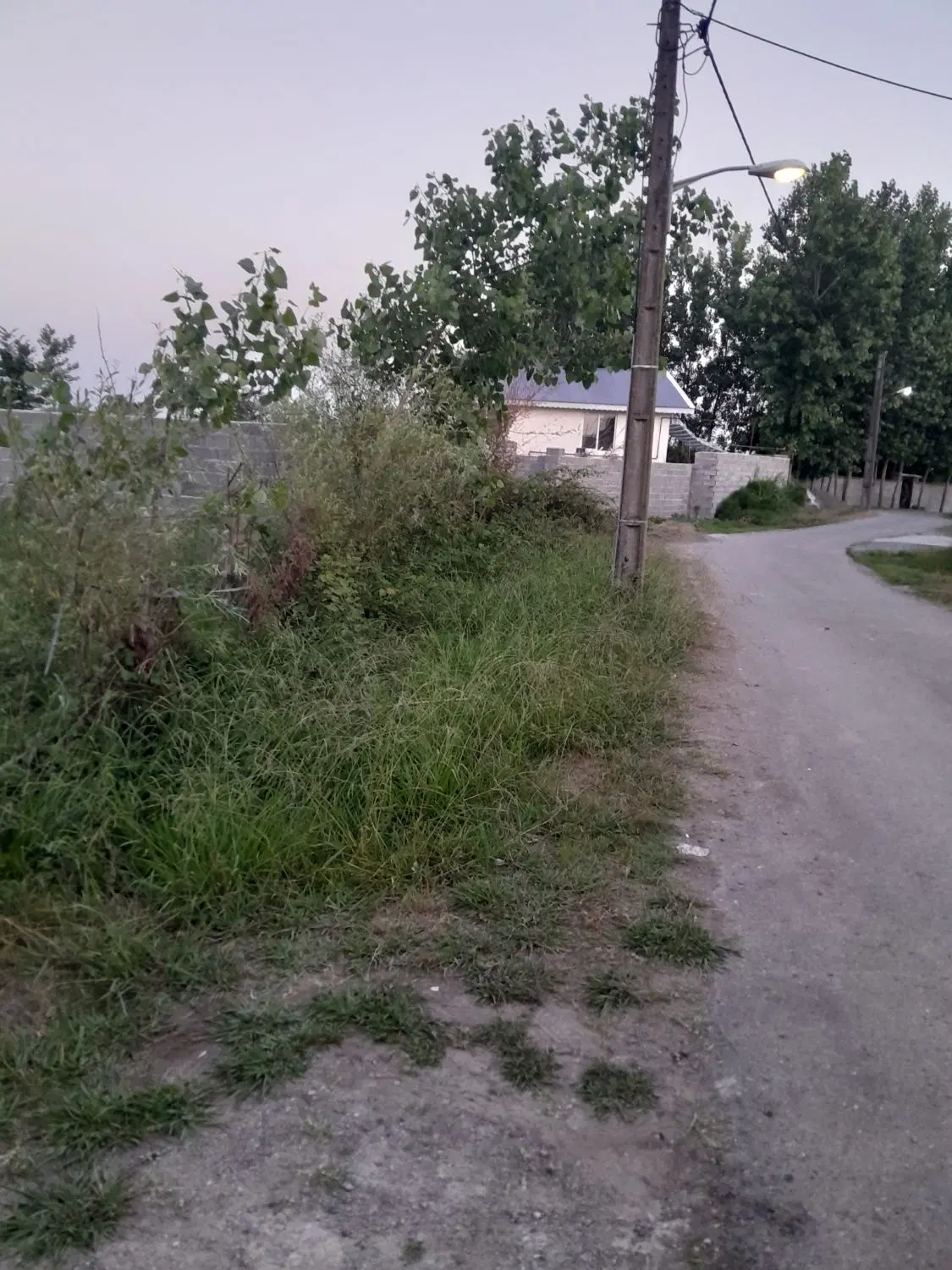 زمین هادی