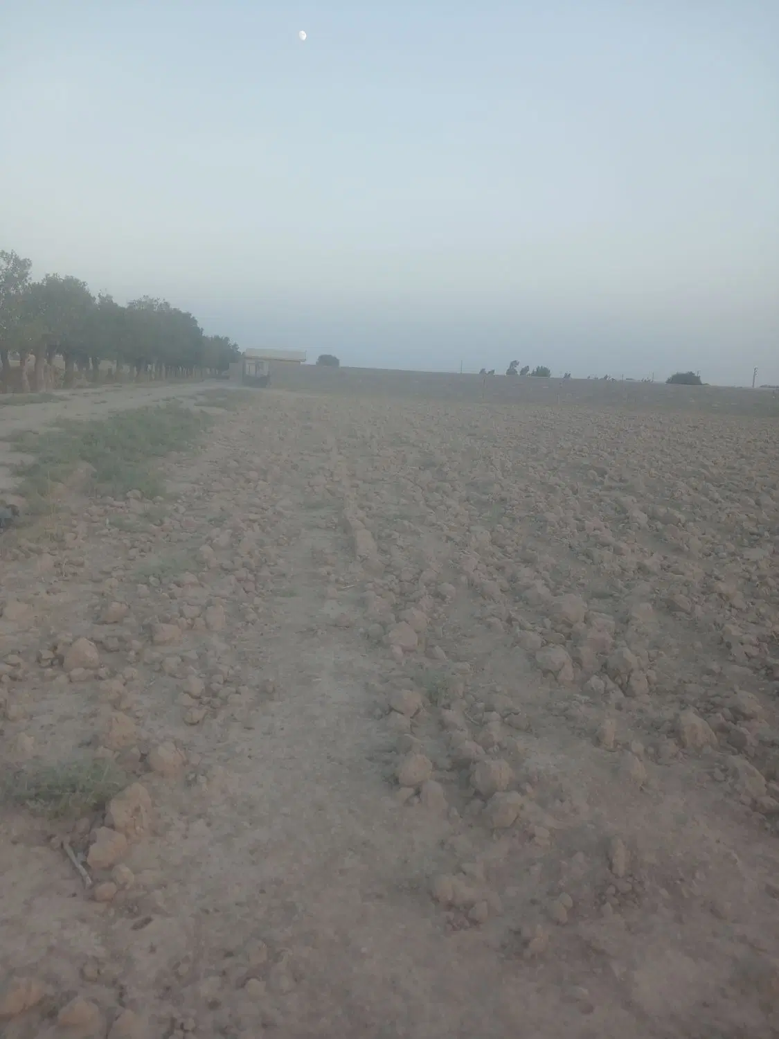 زمین