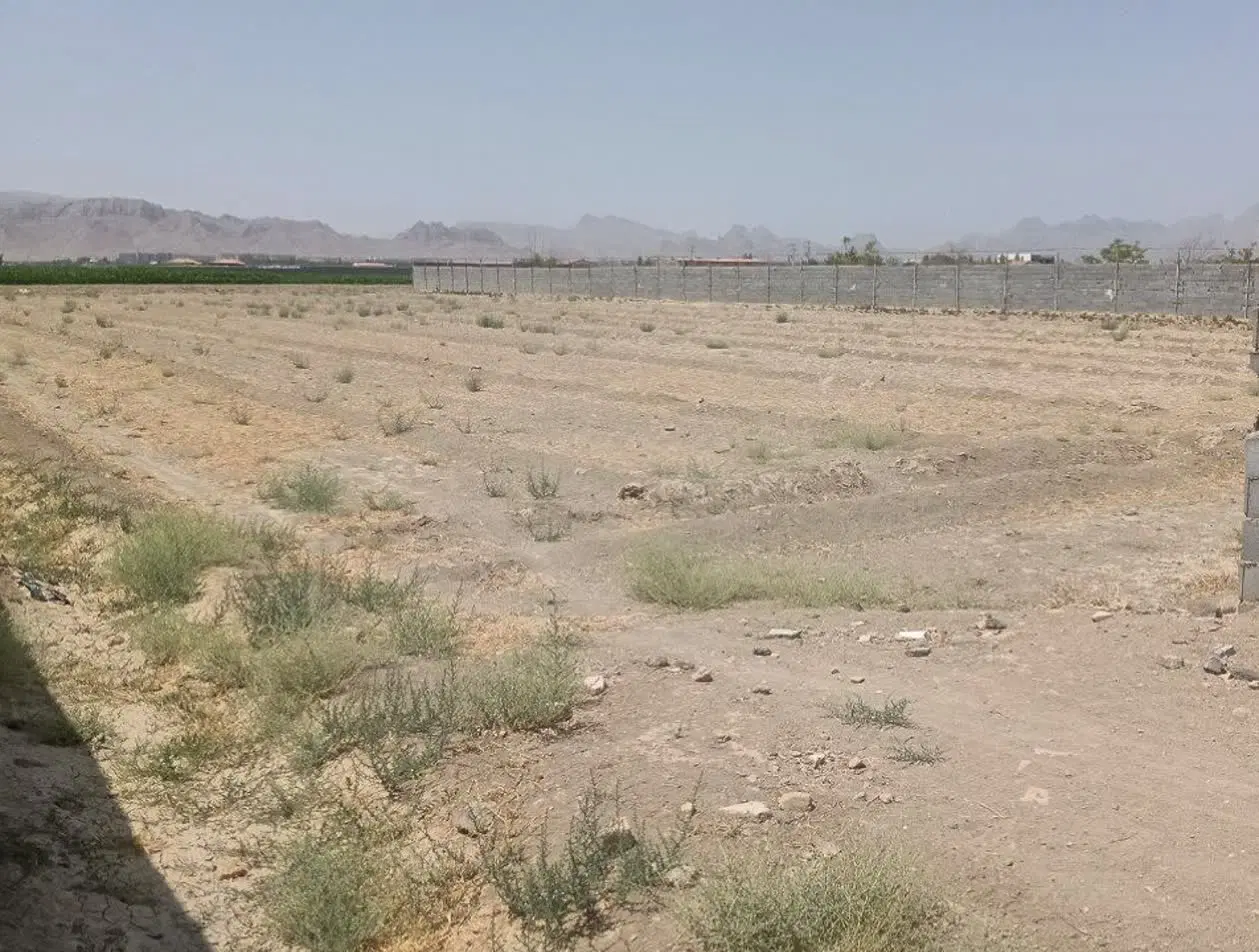 زمین، چهاردیواری، باغ