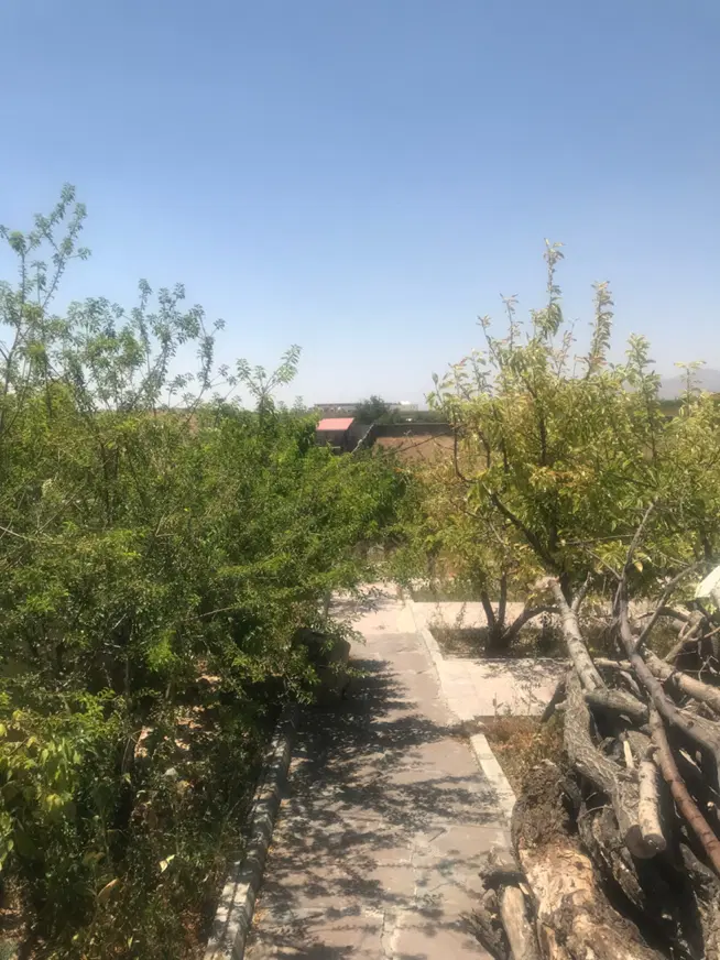 ۴۵۵ متر باغچه