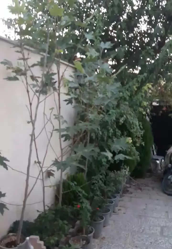 خانه ویلایی۱۱۱متر
