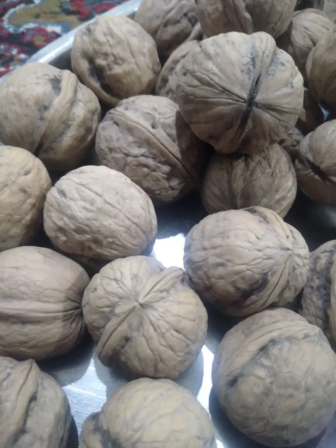اجاره باغ گردو