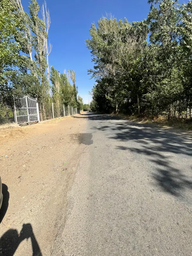 ۶۳۵ متر باغ در ابتدای داسداران