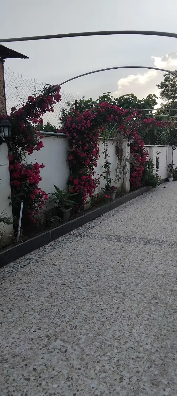 خانه باغ ۵۸۰ متری کامل
