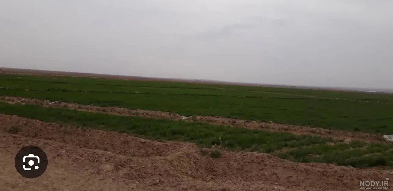زمین الهیه کمیل غربی