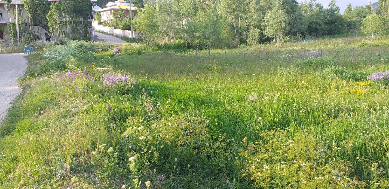 زمین با کاربری مسکونی روستای مجره