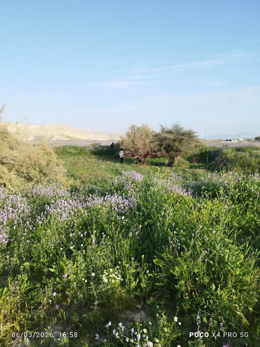 فروش زمین 200 متری سه فرزندی