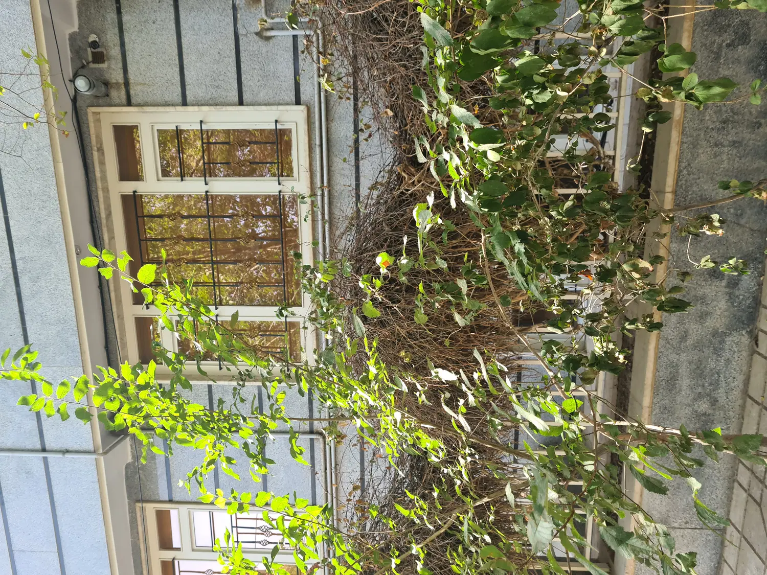 اجاره آپارتمان ۶۵ منری کیانمهر گلستان ۸