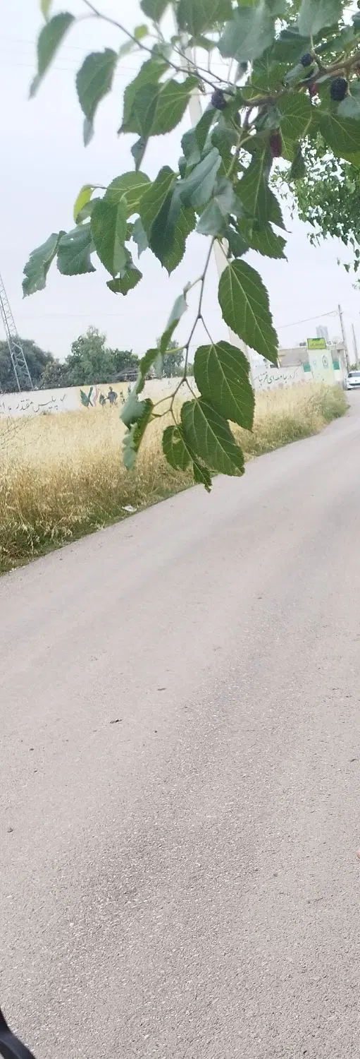زمین مسکونی