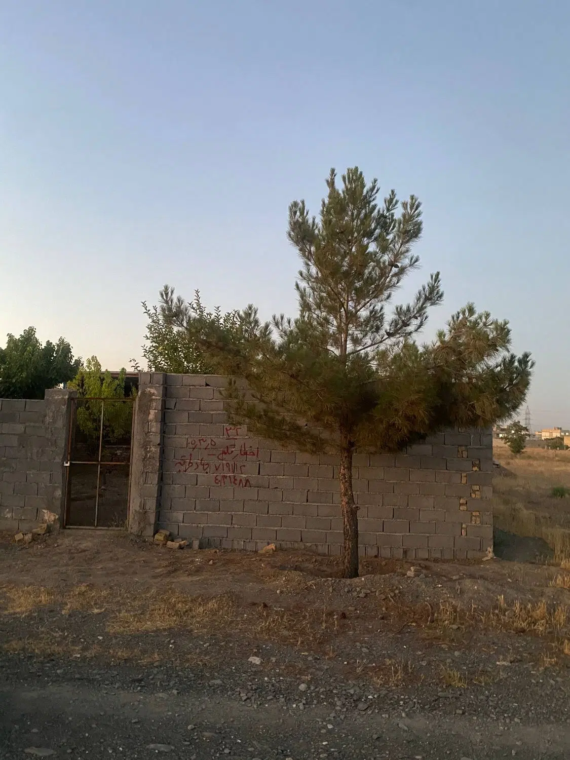 ۳۷۸ متر زمین  ثامن استان قدس