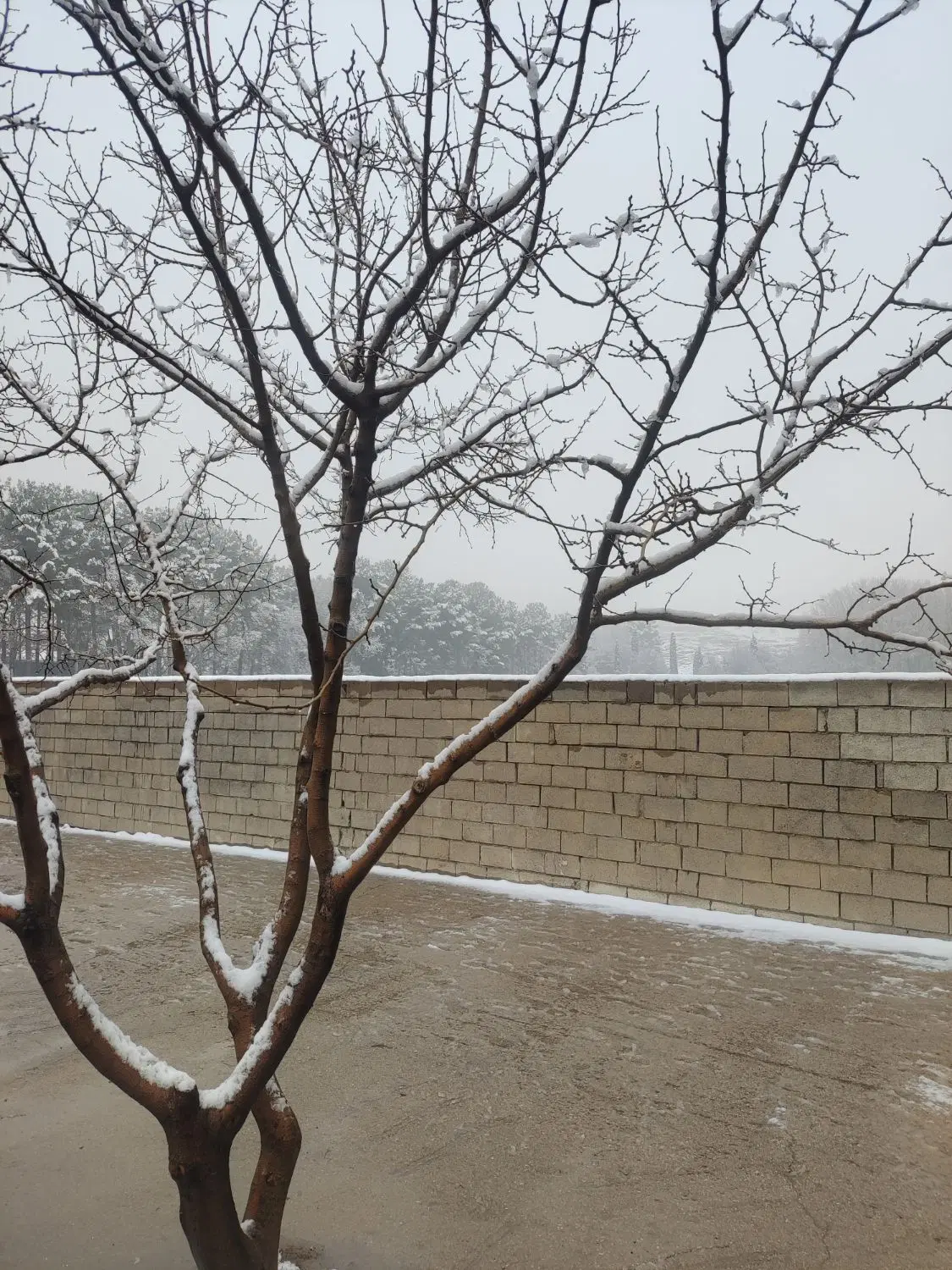 زمین مسکونی