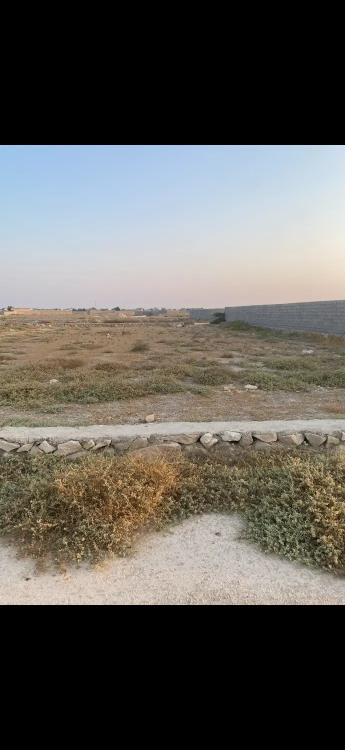 زمین گورک کله بندی