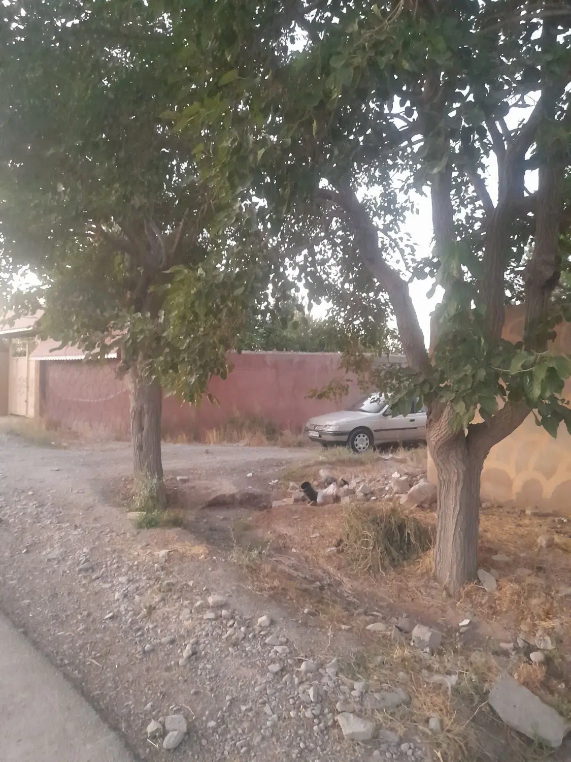 زمین