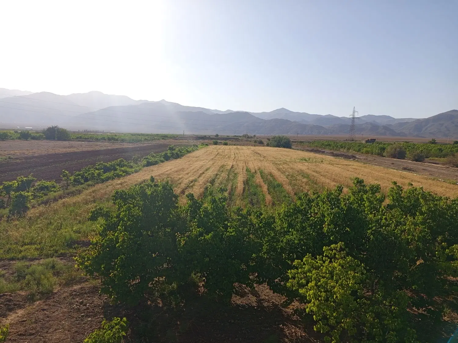 باغ و زمین بهمراه آب ملکی