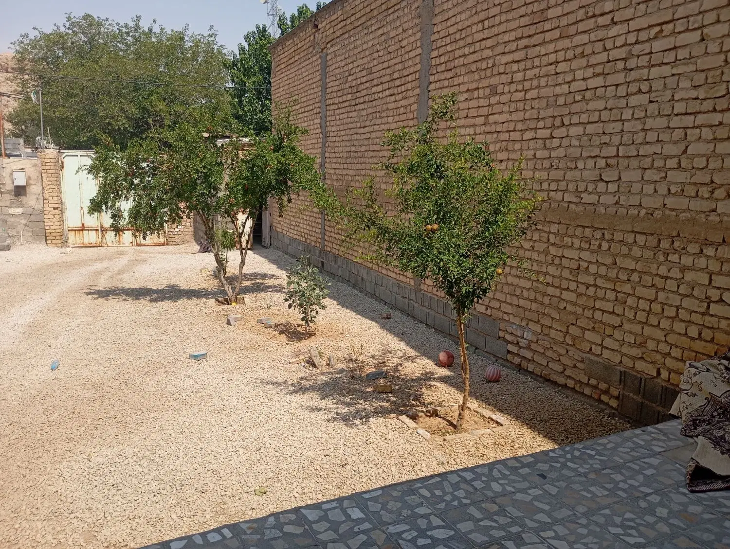 فروش خانه با حیاط بزرگ مناسب باغ شهری