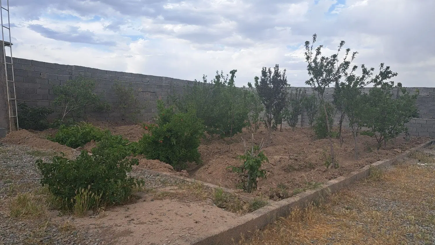باغچه ۳۵۰ متری حصار مهتر شرایطی