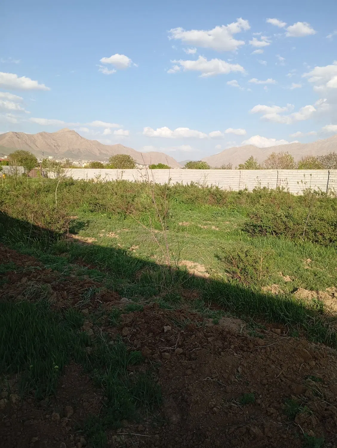 فروش باغچه