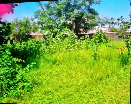 زمین با کاربری مسکونی