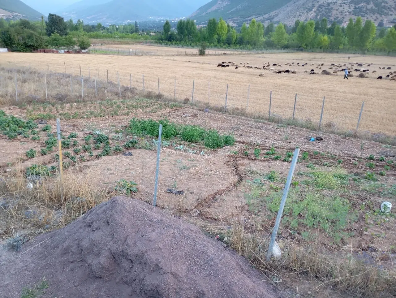 ۵۰۰زمین دو بر روستای لرگان
