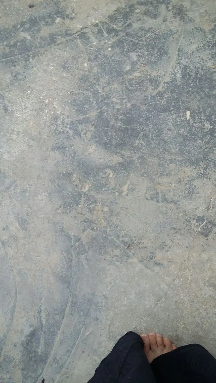 زمین وباغ نخل