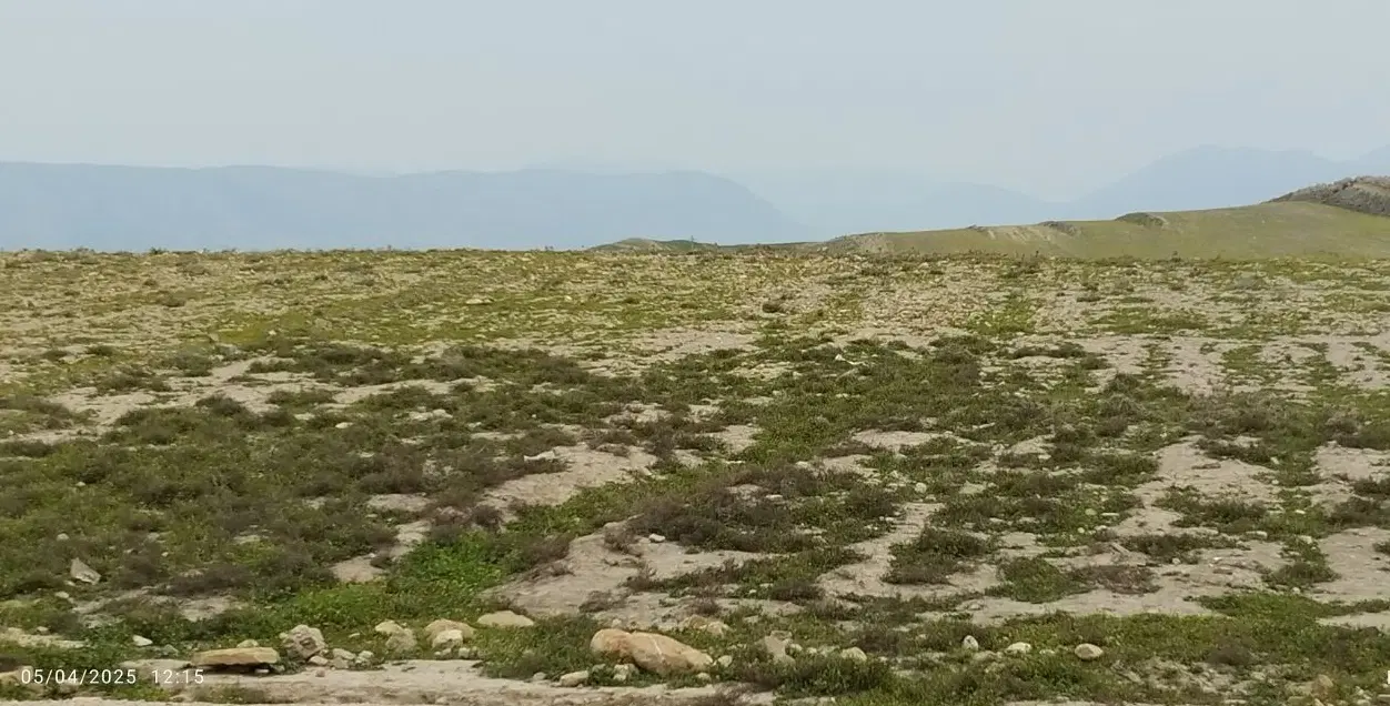 زمین مسکونی