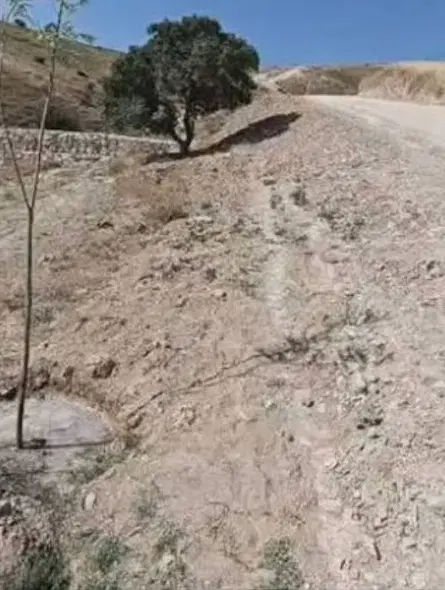 قطعه زمین ۳۳۰متری انتهای رودکی عزیزی