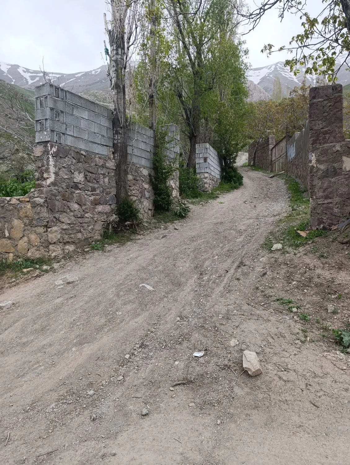 یک قطعه زمین در شمشک