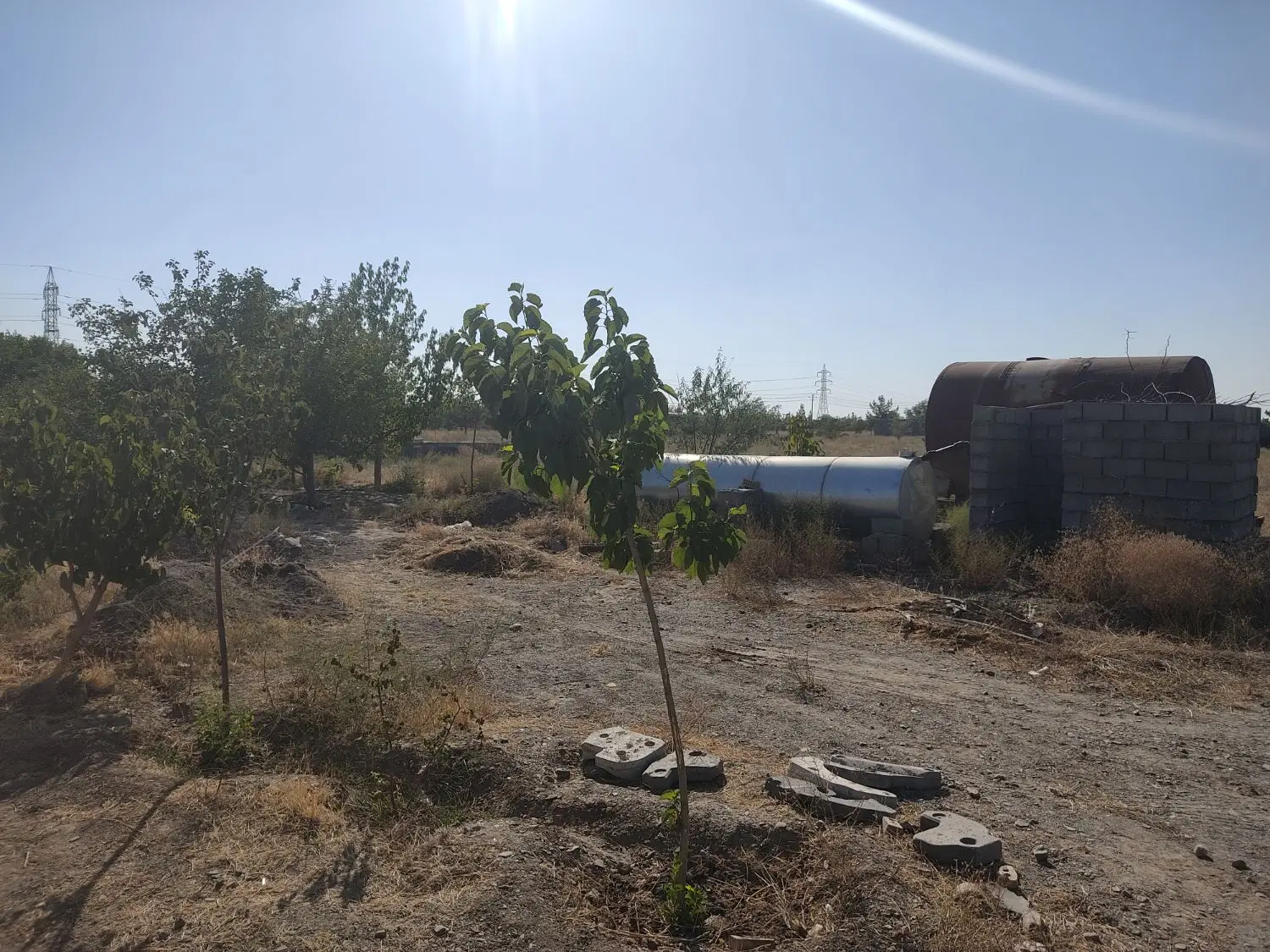 باغستان ثامن