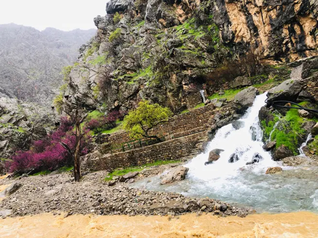 کارواش