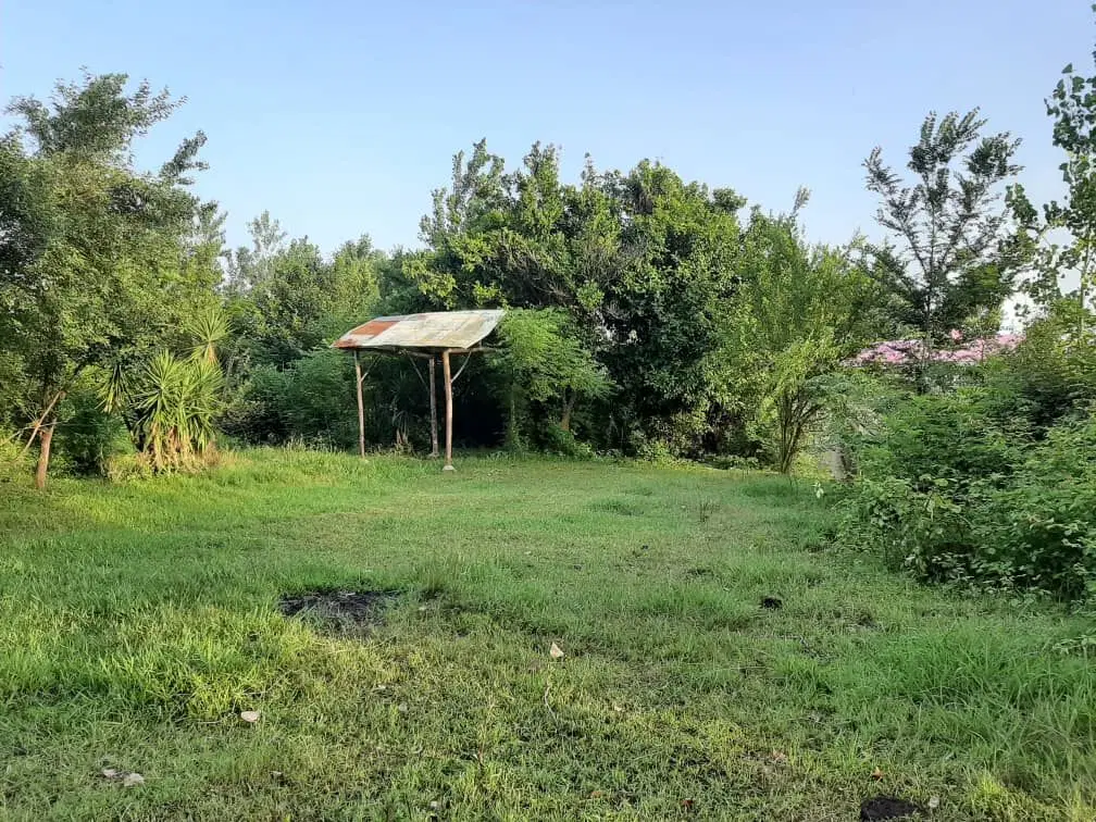 زمین مسکونی