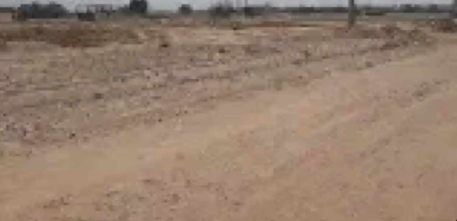 زمین