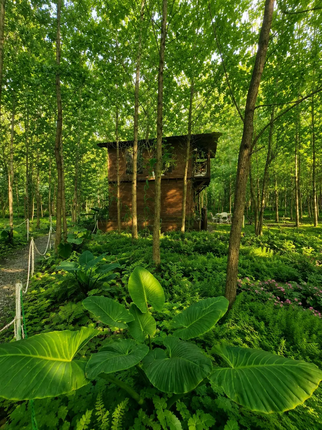 ارزشمندترین خرید سال