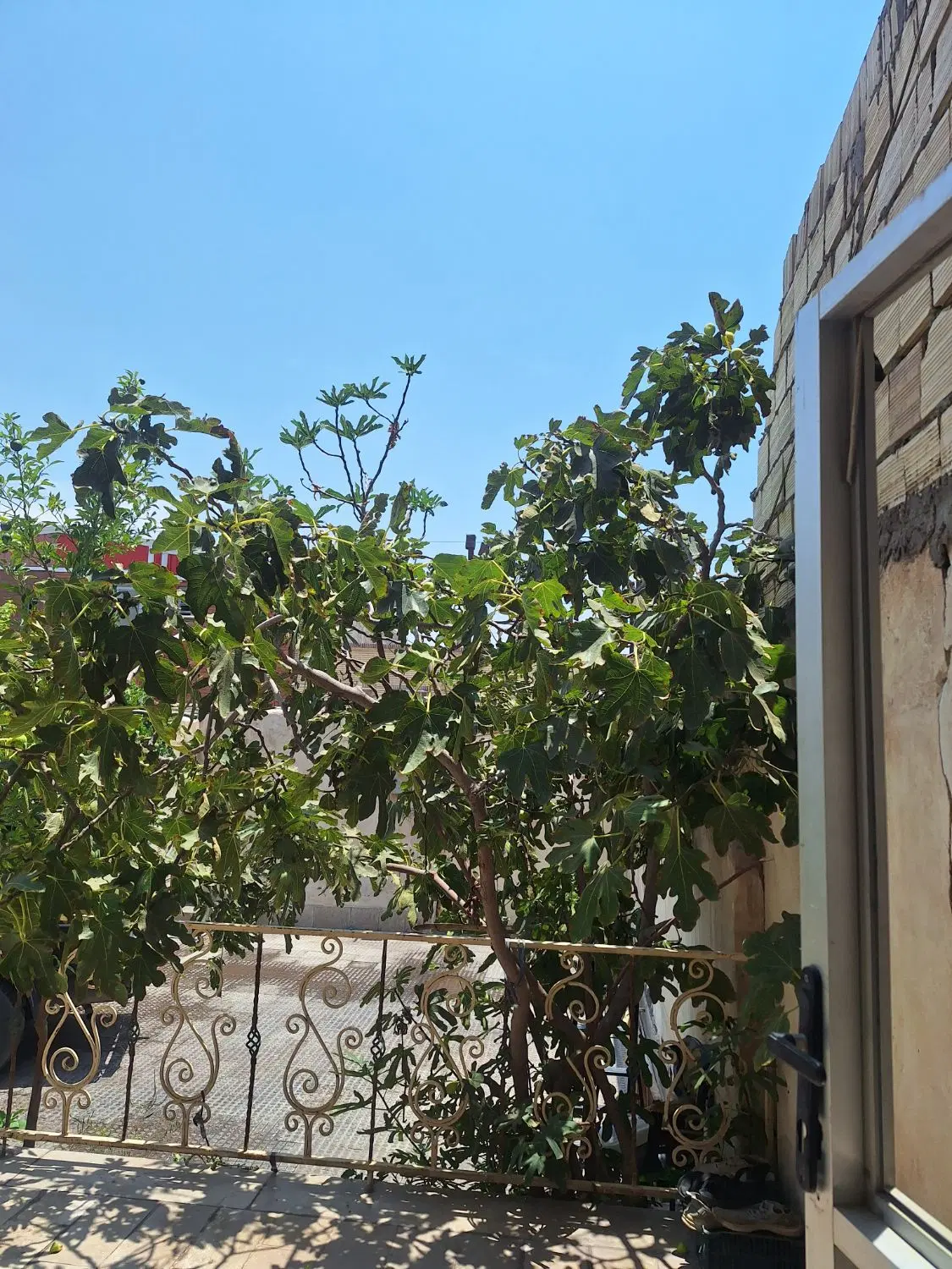 فروش یه قطعه خونه باغچه